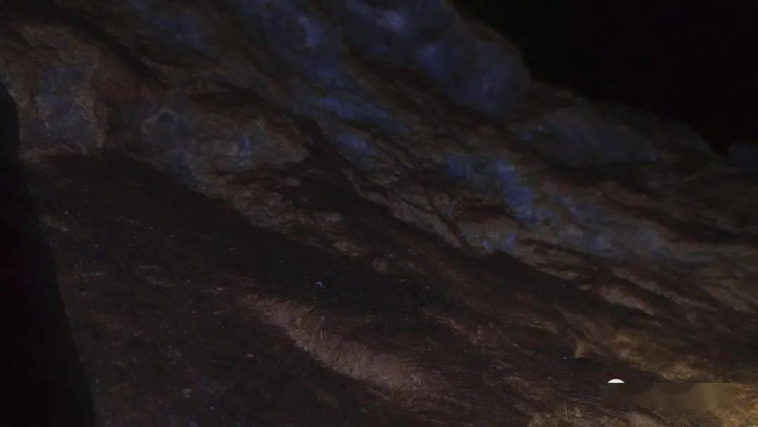 俄罗斯小怪